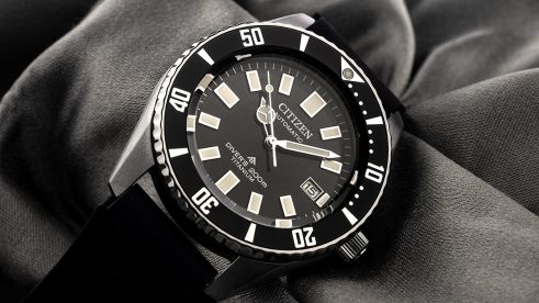 Citizen Promaster Fujitsubo Mechanical Diver